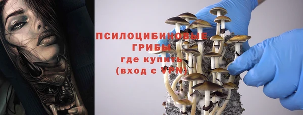 марки nbome Гусь-Хрустальный