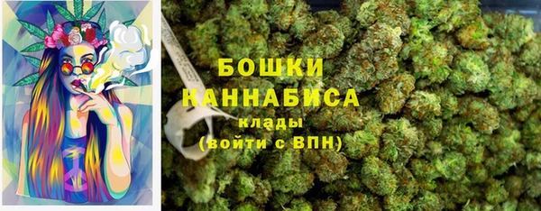 дмт Горнозаводск