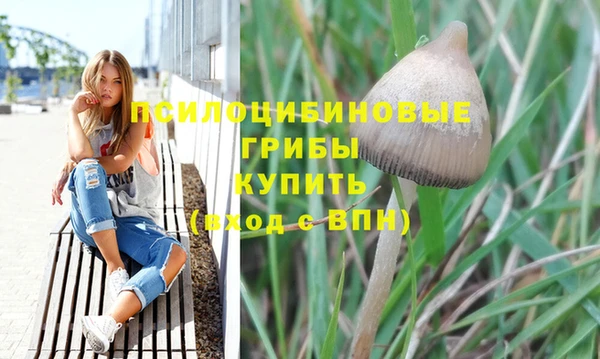 СК Горно-Алтайск