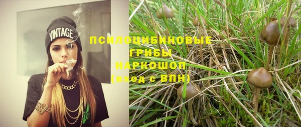 дмт Горнозаводск