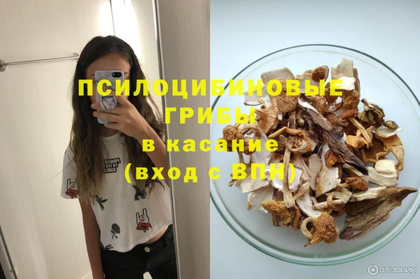 прущая мука Горняк