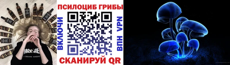 Псилоцибиновые грибы Psilocybine cubensis  Купить закладки  Закаменск 