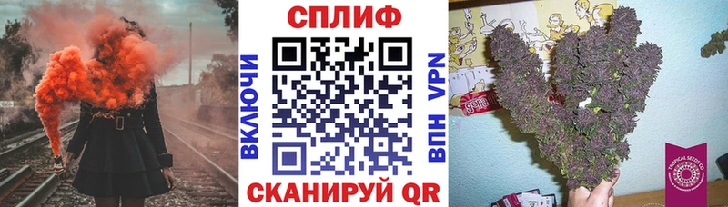Конопля OG Kush  Купить закладки  Закаменск 